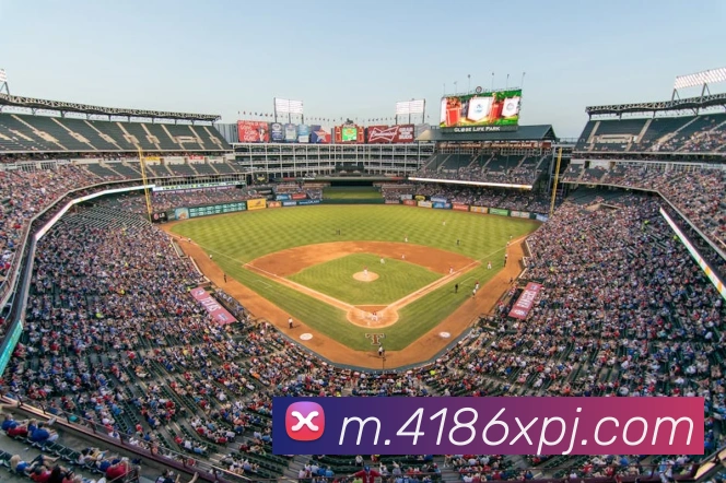 奖项证书